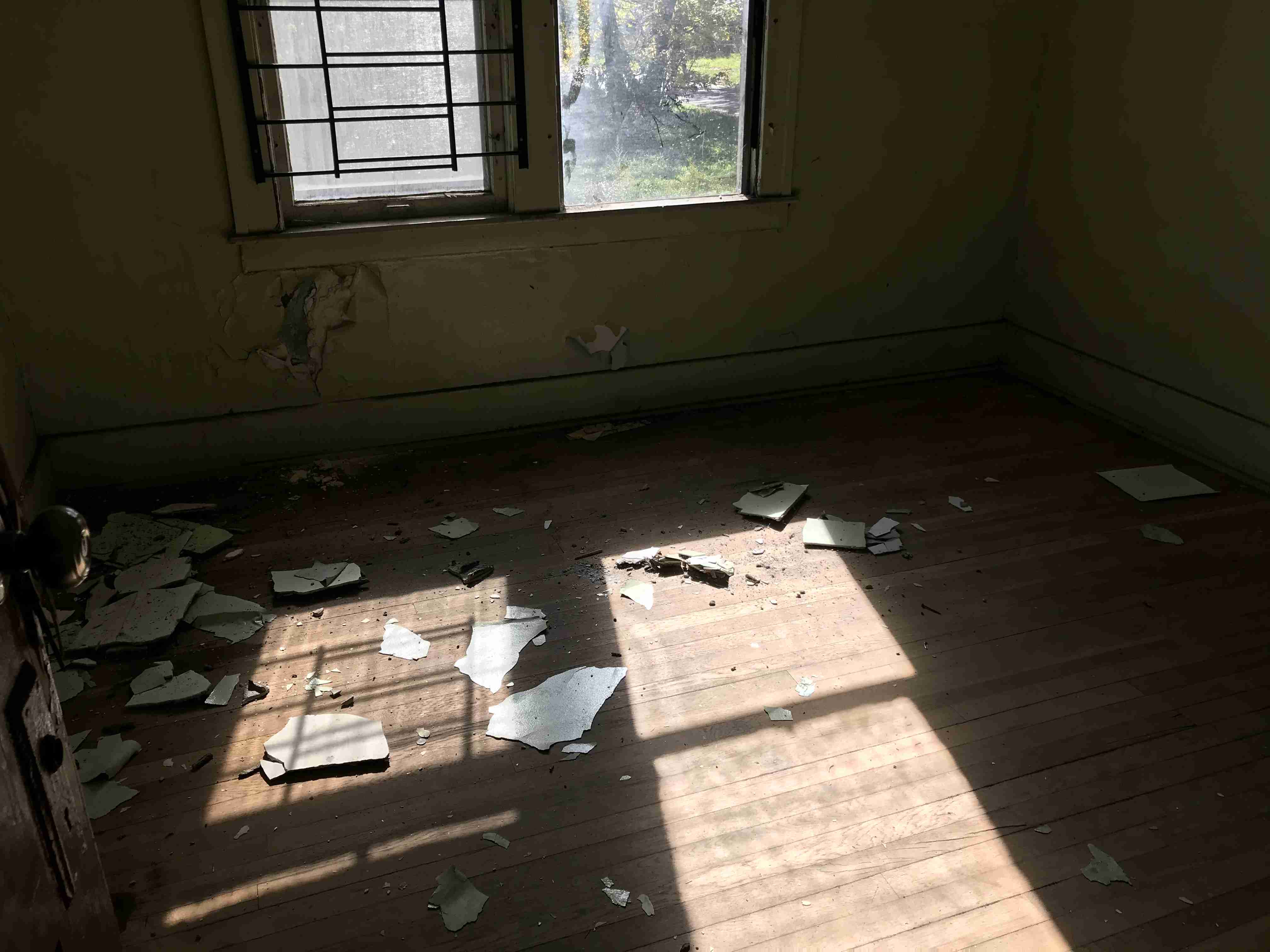 Photo Oct 13, 12 35 54 PM (1).jpg